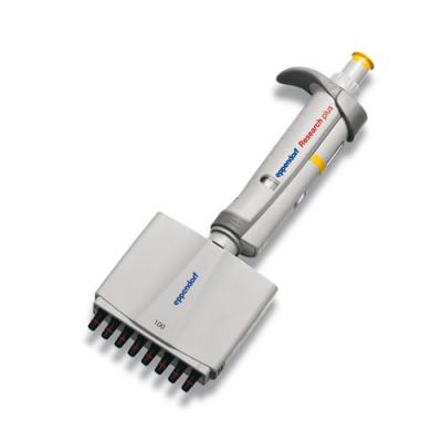 Eppendorf艾本德 Research® plus 8道移液器 10ul (3122 000.019)