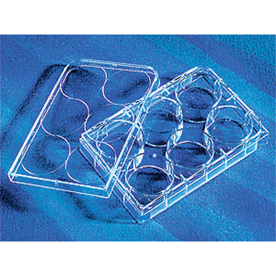Corning康宁 6孔培养板 水凝胶标准透明板（3471）