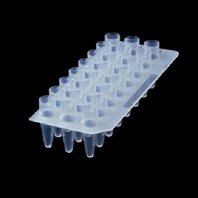 Axygen 爱思进  24孔 PCR板 （ PCR-24-C）