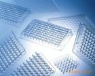 国产品牌 96孔PCR板 （20个/袋）